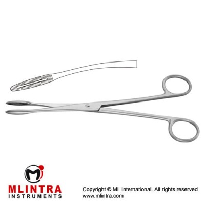 Gross-Maier Dressing Forcep Curved - Without Ratchet Stainless Steel, 26 cm - 10 1/4" Gross-Maier Dressing Forcep Curved - Without Ratchet Stainless Steel, 26 cm - 10 1/4"